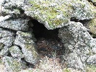 ntrada Ilice-20100905 084